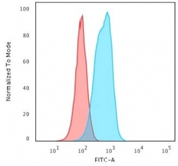 Keratin 6 Antibody / Cytokeratin 6