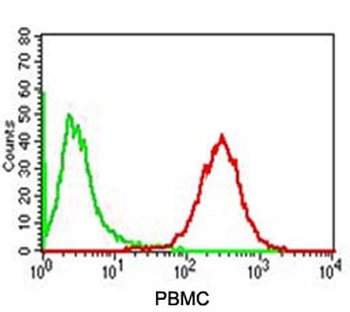 Adipophilin Antibody / Perilipin 2 / ADRP / PLIN2