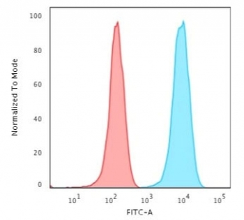 CD3 Antibody