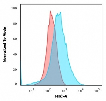 CD15 Antibody / SSEA-1