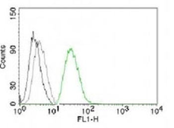Ornithine Decarboxylase Antibody / ODC1