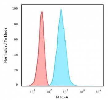 Cytokeratin 8 Antibody