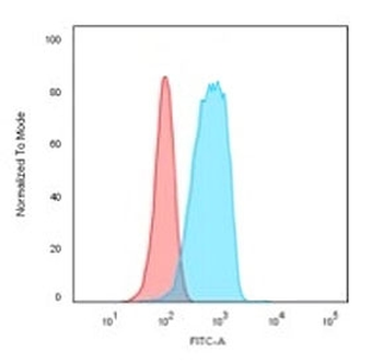 CD20 Antibody