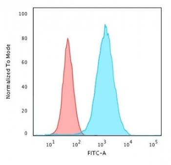 KRT19 Antibody / Cytokeratin 19