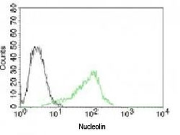 Nucleolin Antibody