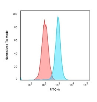 Moesin Antibody