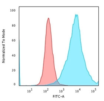 CD43 Antibody