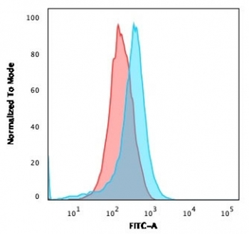 CD15 Antibody / SSEA-1