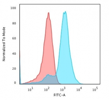 Glypican 3 Antibody / GPC3