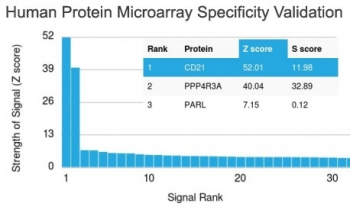 CD21 Antibody