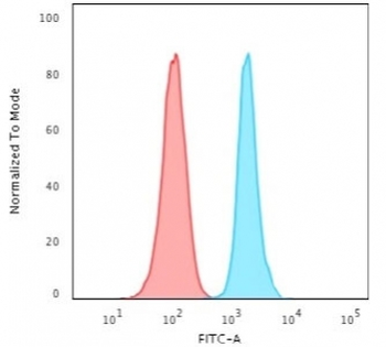 Ki67 Antibody