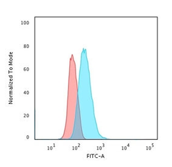 CD40 Antibody
