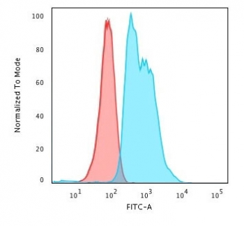 ZAP70 Antibody