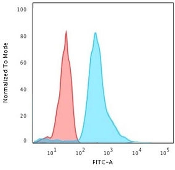 RPSA Antibody / 40S Ribosomal protein SA