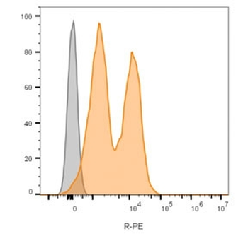 NCAM / CD56 Antibody Cocktail