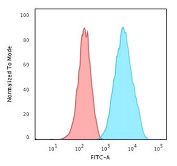 S100A4 Antibody / FSP1