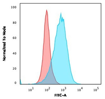 CD86 Antibody