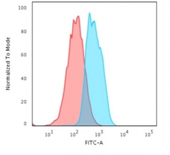 E-Cadherin Antibody / CDH1