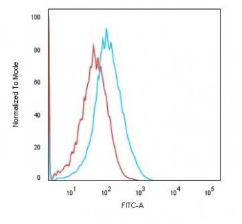Cadherin 16 Antibody