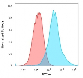 KRT19 Antibody / Cytokeratin 19