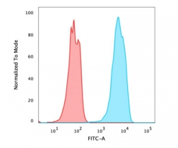 FOXA1 Antibody