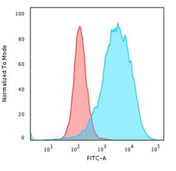 CD43 Antibody