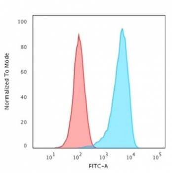 CD43 Antibody