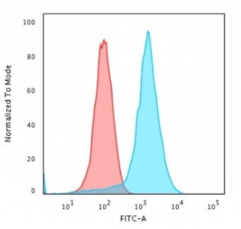 CD43 Antibody