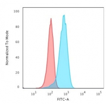 PGP9.5 / UchL1 Antibody