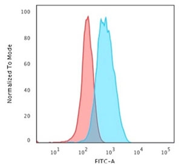 CD3 epsilon Antibody