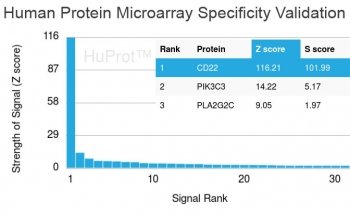 CD22 Antibody