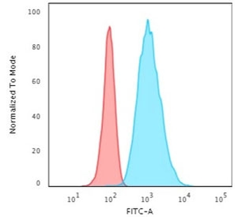 KRT7 Antibody / Cytokeratin 7