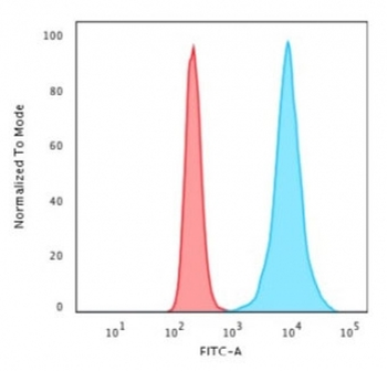 Histone H1 Antibody