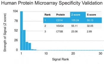 CD14 Antibody (Macrophage Marker)