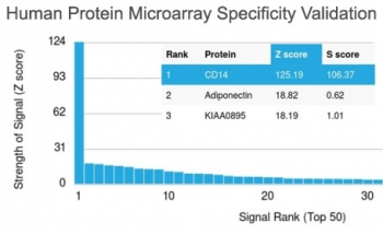 CD14 Antibody