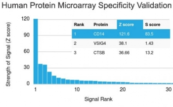 CD14 Antibody