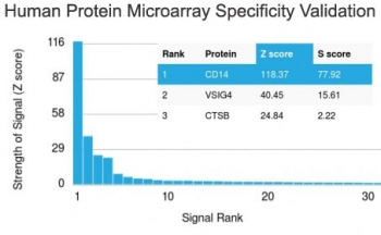 CD14 Antibody