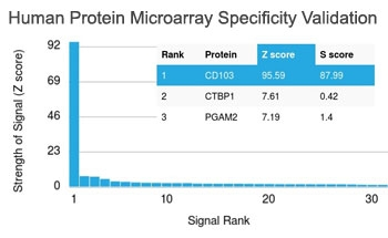 Integrin alpha E Antibody / CD103