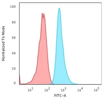 Keratin 6 Antibody / Cytokeratin 6
