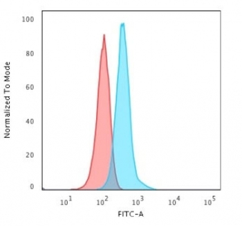 Glial Fibrillary Acidic Protein Antibody / GFAP