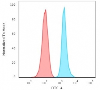 Ki67 Antibody