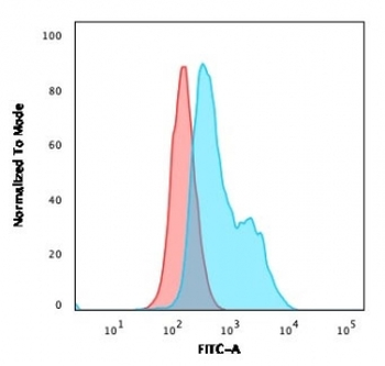 POU2AF1 Antibody / BOB-1