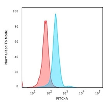 Nucleophosmin Antibody / NPM1