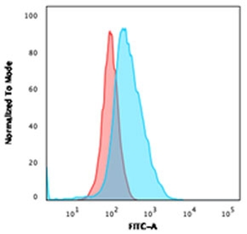 CD40 Antibody