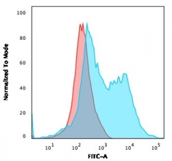 ZAP70 Antibody