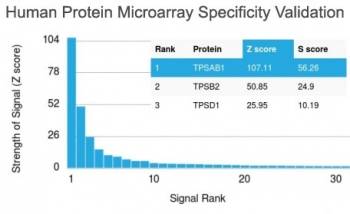 TPSAB1 Antibody / Mast Cell Tryptase