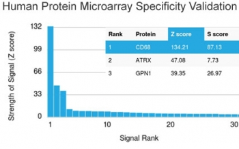 CD68 Antibody