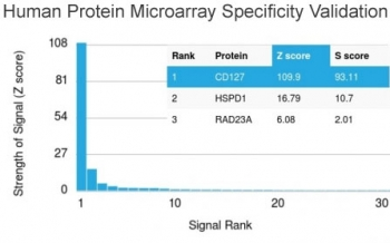 IL7R Antibody / CD127