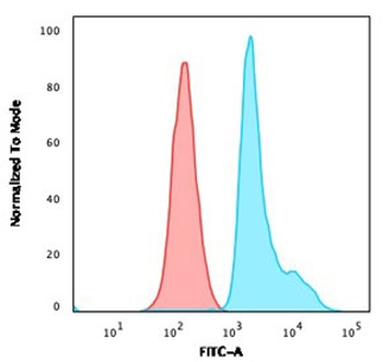 RPSA Antibody / 40S Ribosomal protein SA