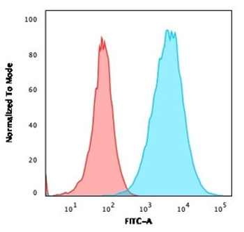 S100A4 Antibody / FSP1